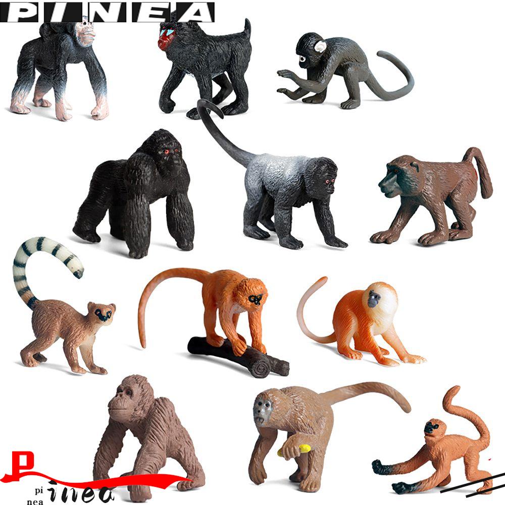 Nanas 6PCS Model Monyet Manusia Hidup Sains Alam Zoo Adegan Belajar Awal Simulasi Gibbon Anak