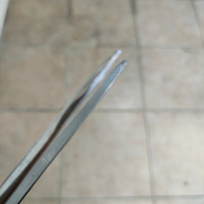 pinset bayonet stainless steel 30 cm pinset telinga tht