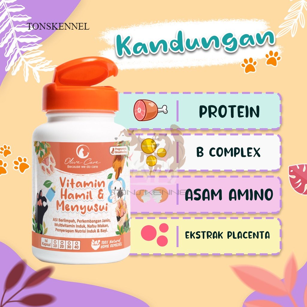 Olive Care Vitamin Kucing HAMIL &amp; MENYUSUI untuk Produksi Asi, Perkembangan Bayi, Multivitamin Induk Kucing dan Menjaga Nafsu Makan