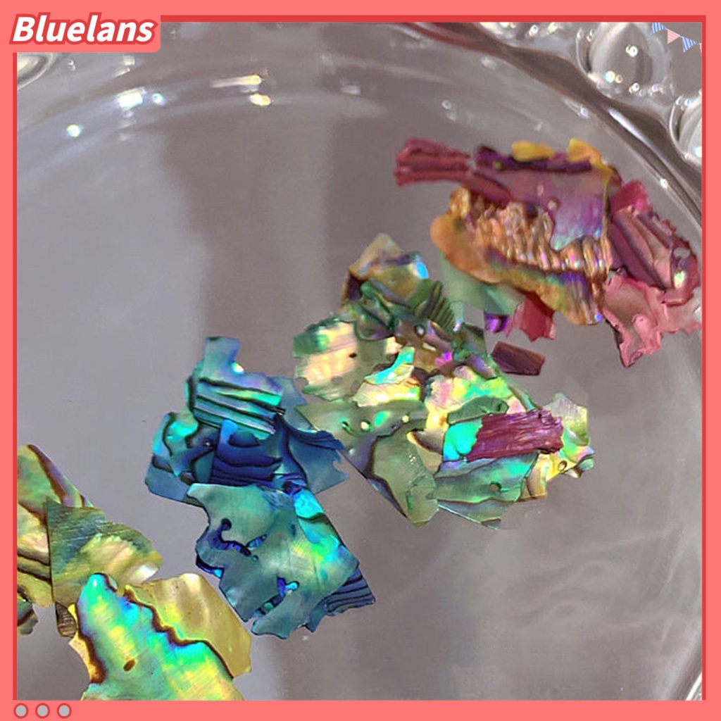 [BLM] Hiasan Kuku 12kisi Bentuk Tidak Teratur Tahan Lama Yang Dapat Dilepas Mudah Tempel DIY Serbaguna 3D Nail Art Shell UV Gel Manicure Dekorasi Perlengkapan Salon Kuku