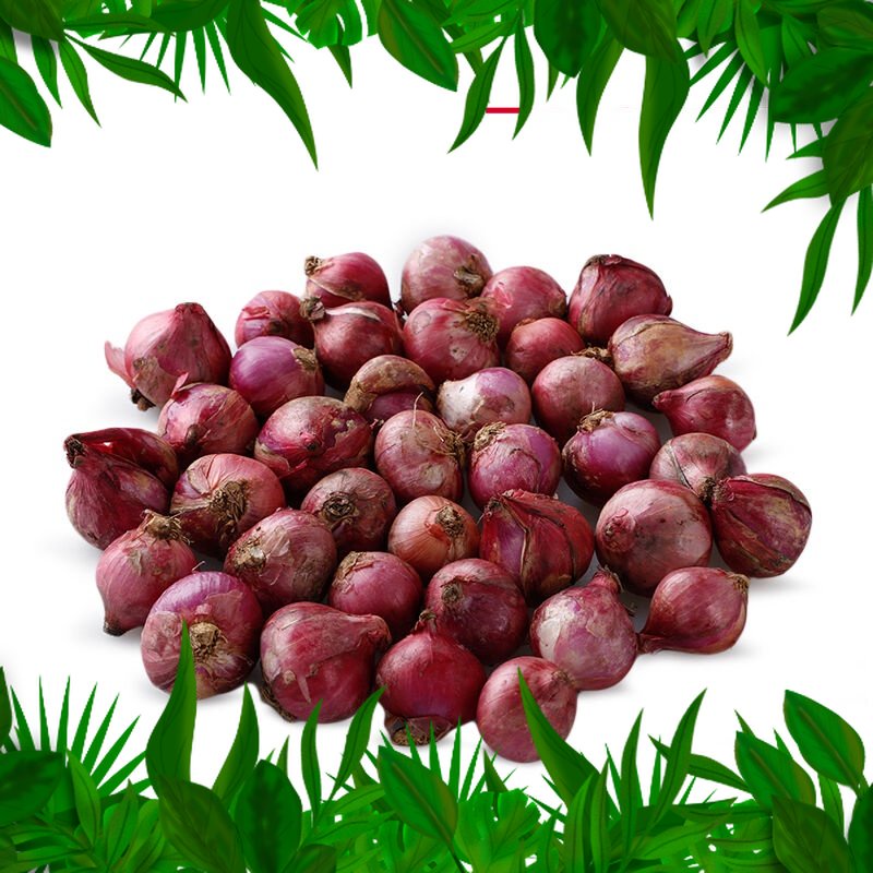 

SAYURAN FRESH NUSANTARA - Bawang Merah 250gr