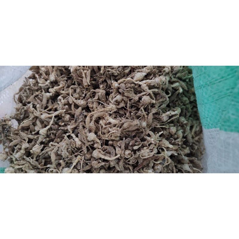 

Bubuk KUNCI PEPET Kering 1 kg Tanaman Herbal Nusantara Free Stiker PIRT Random