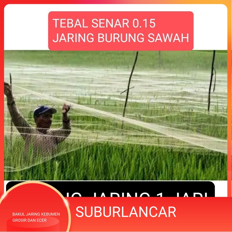 Jaring burung pipit sawah lubang 1 jari jaring burung kecil jaring burung emprit jaring padi