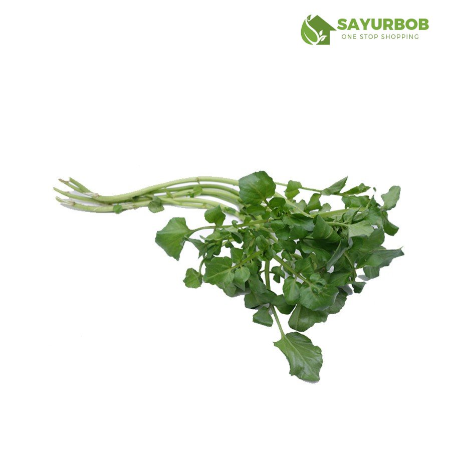 

Salada Air / Water Cress 3ikat Gr SayurBob