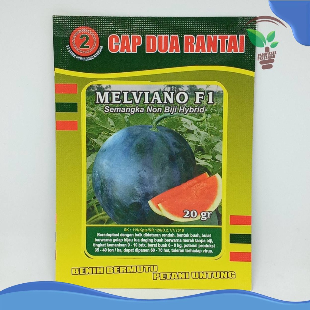 Benih Semangka Non Biji MELVIANO F1 20 gr