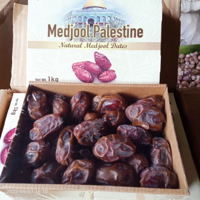 

kurma medjol palestin large