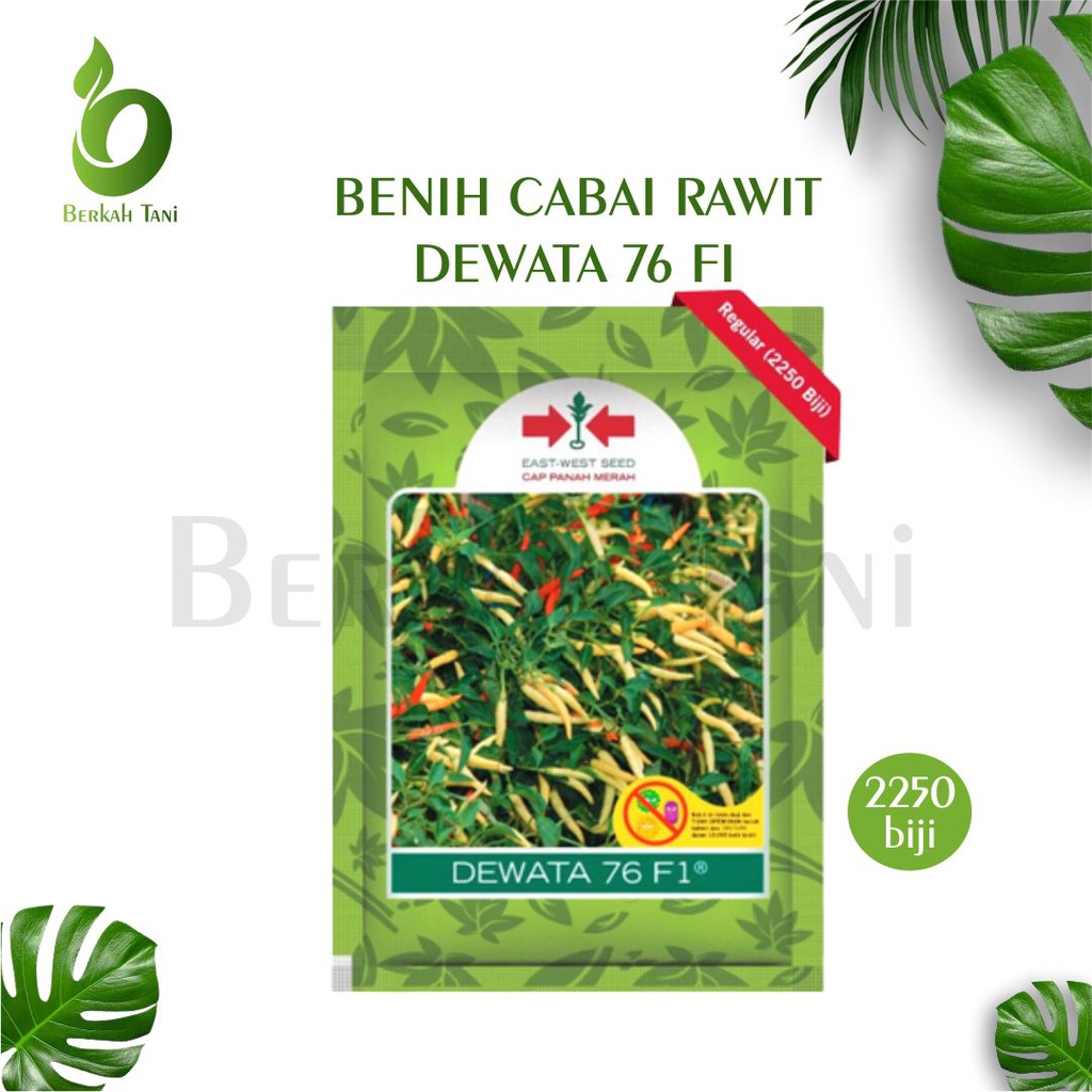 Benih Cabai Rawit DEWATA 76 F1 2250 Butir - Bibit Cabe Cap Panah Merah