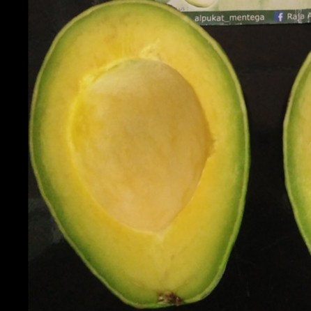 

✨NEW✨ -Alpukat Mentega cherry- 2.2.23