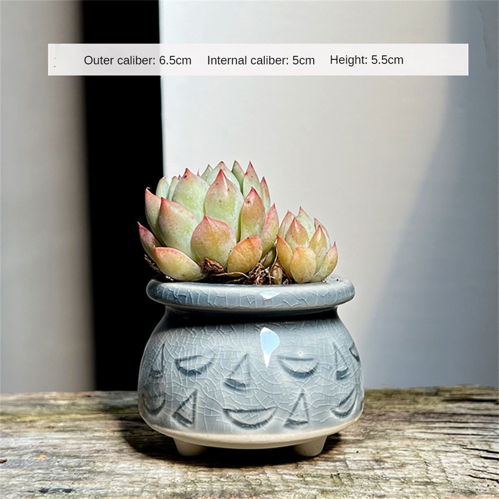 Flpot Bunga Tanaman Berdaging Pola Cakar Kucing Pot Bunga Keramik Pot Sukulen Berdiri Es Pot Sukulen Retak Dekorasi Desktop Rumah