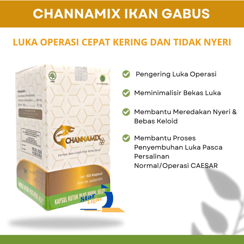 Channamix Canamix Chanamix Kapsul Ikan Gabus Kutus Obat Pasca Operasi Melahirkan