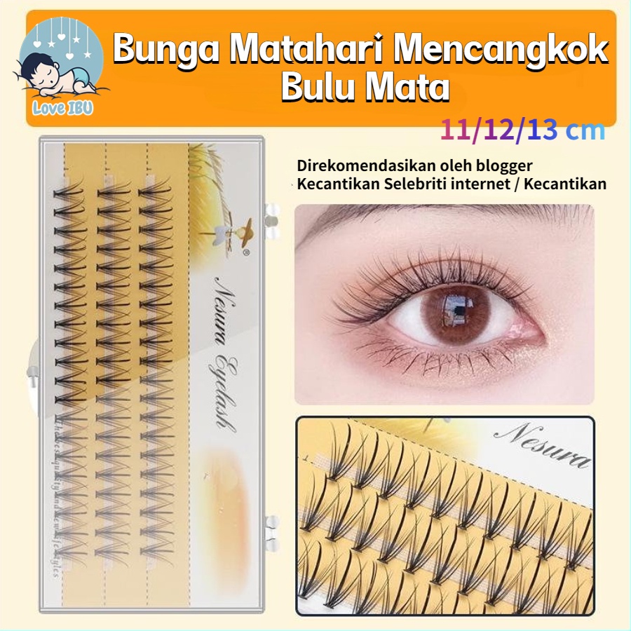 Fake Eyelashes / Bulu Mata Eye Lash Extension 2D 3D 4D 5D 6D 10D Russian Extension Eyelash Extension Bulu Mata Palsu Bulu Mata Palsu Individual Grafting Eyelashes Single-cluster False Eyelash