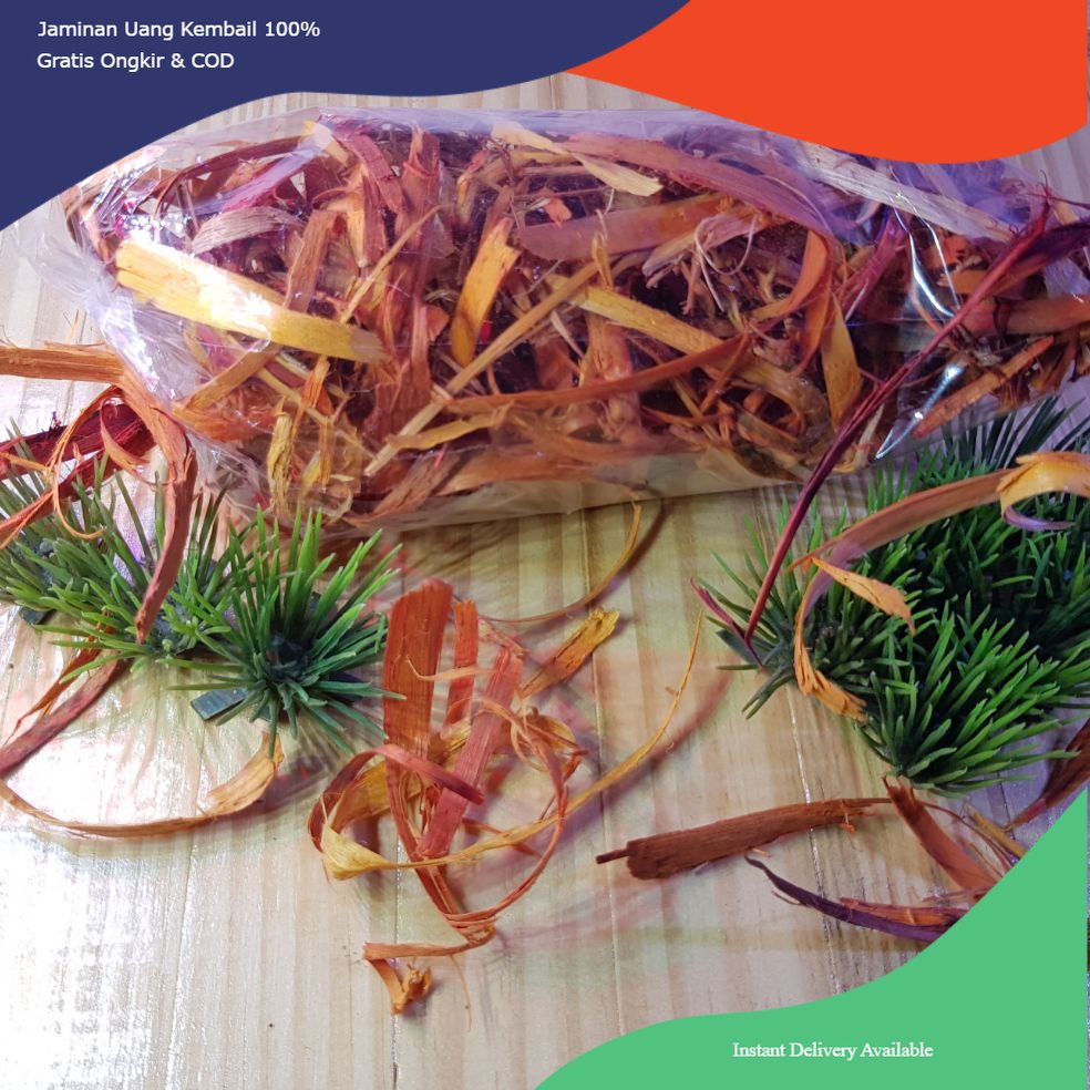 Kayu secang, obat ikan kayu secang, serutan kayu secang, kayu secang obat, obat kayu secang