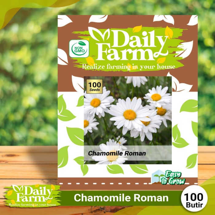 Benih Bunga Chamomile Roman - Benih Bunga Krisan - Daily Farm
