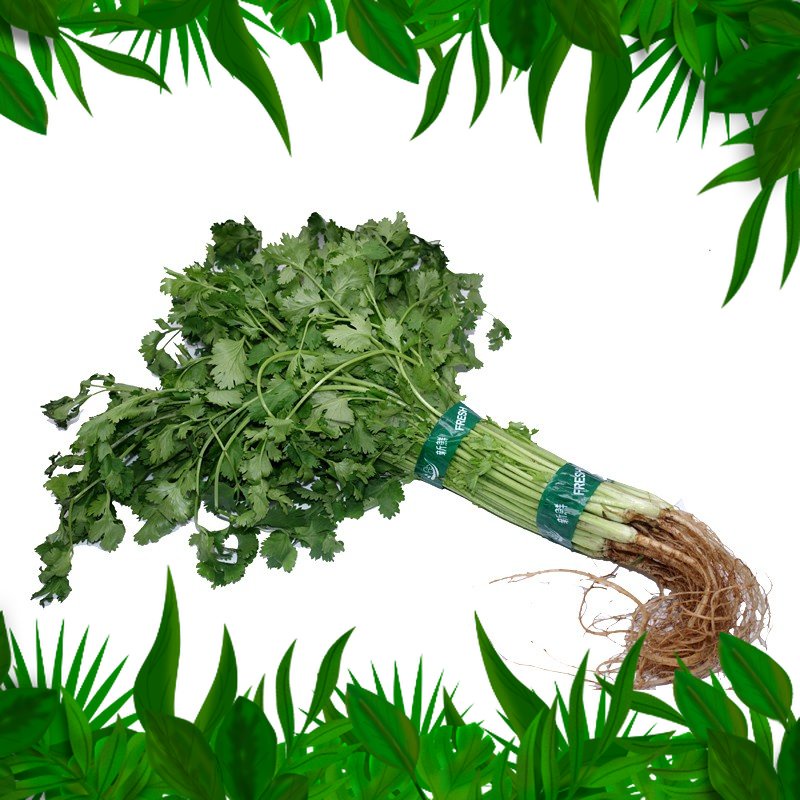 

Sayur Fresh Nuatara - Daun Ketumbar 250gr