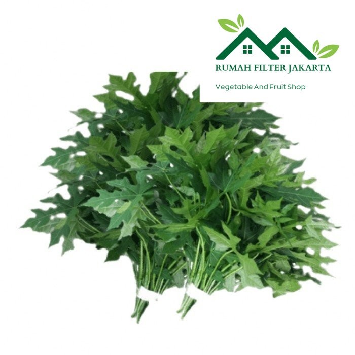 

Daun Pepaya Jepang 1ikat