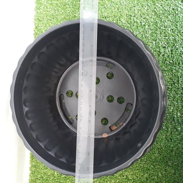 pot bonsai glory 25 , pot adenium hitam, pot ceper, bagus