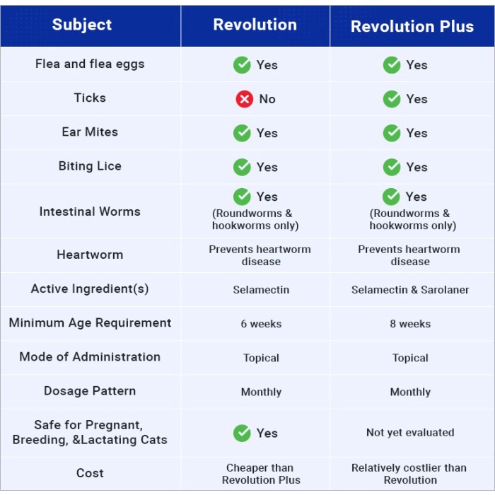 Revolution PLUS for Cat &amp; Kitten - Obat Anti Kutu Kucing