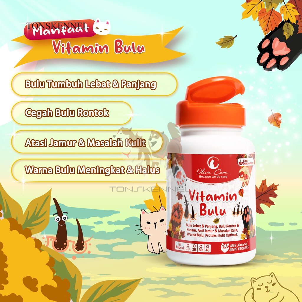 Olive Care Vitamin Kucing BULU untuk Bulu Panjang Lebat, Bulu Halus, Warna Bulu, Cegah Jamur dan Bulu Rontok