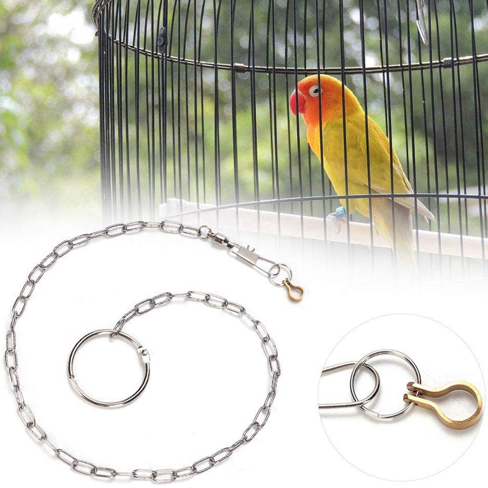 RANTAI BURUNG  MACAW ATAU PARROT 3.5MM/5.5MM/6.5MM/7.5MM