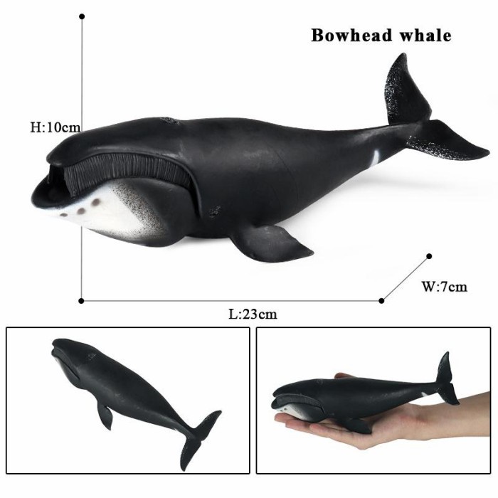 MAINAN IKAN PAUS BOWHHEAD WHALE