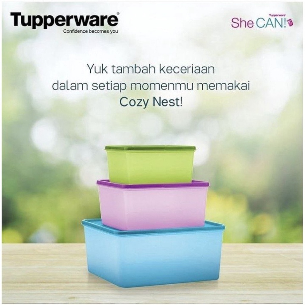 Cozy Nest Set 3Pcs Large Container