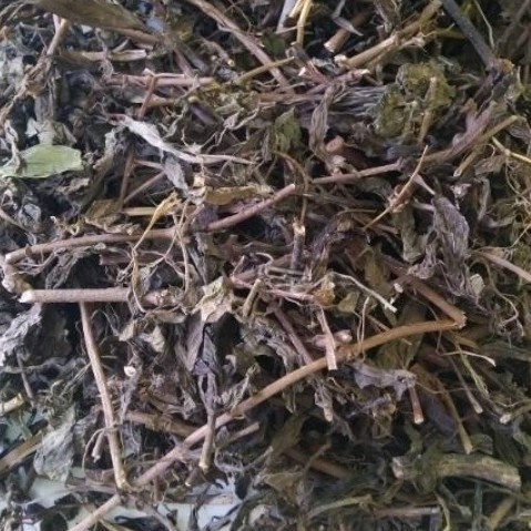 

New Promo daun kumis kucing kering untuk herbal,per 1kg bersih,mengobati jantung COD