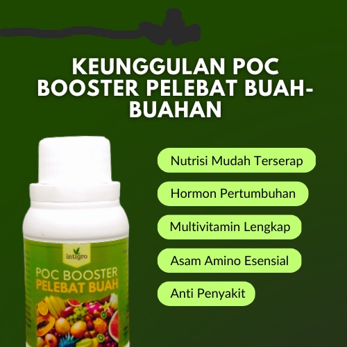 Pupuk Pelebat Buah dan Sayur 100ML / Pupuk Perangsang Pembuahan Bunga Daun Akar Bibit / Pupuk Pemacu