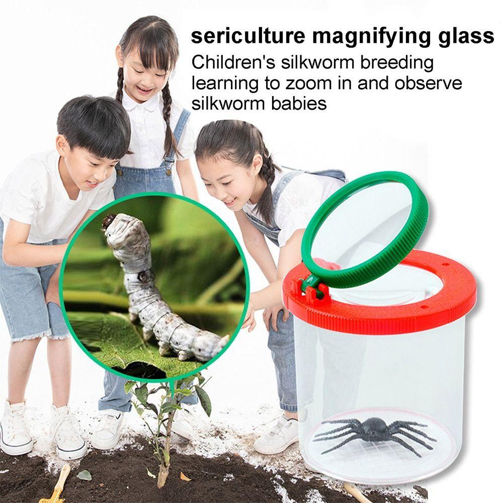 Wonder Insect Box Portable Backyard Explorer Observer Serangga Genggam