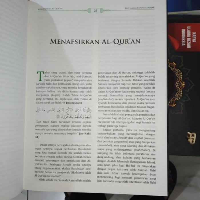 Juz Amma Tafsir Al-Azhar - Gema Insani Press