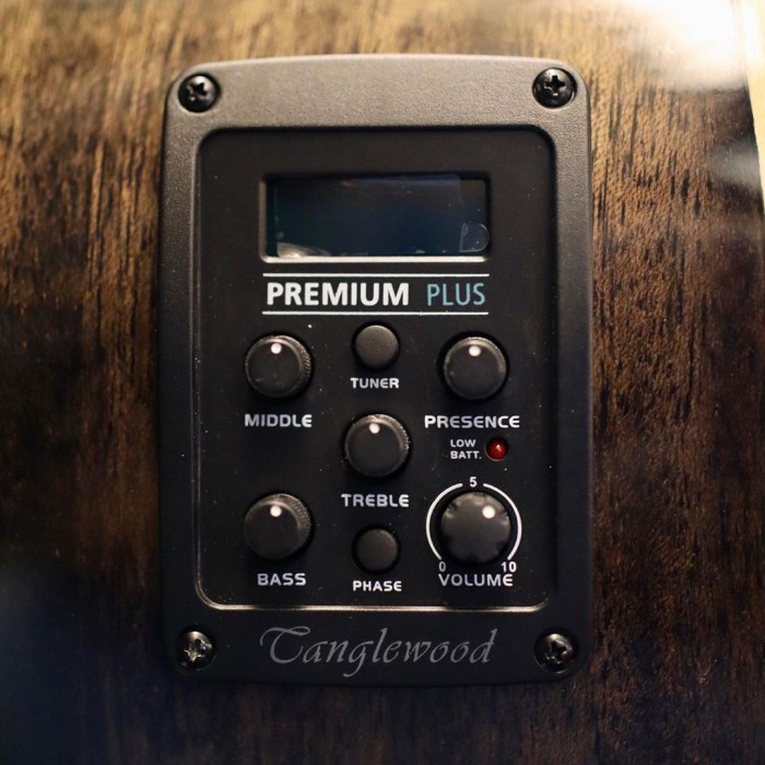 AKUSTIK ELEKTRIK TANGLEWOOD WINTERLEAF TW5 E BS