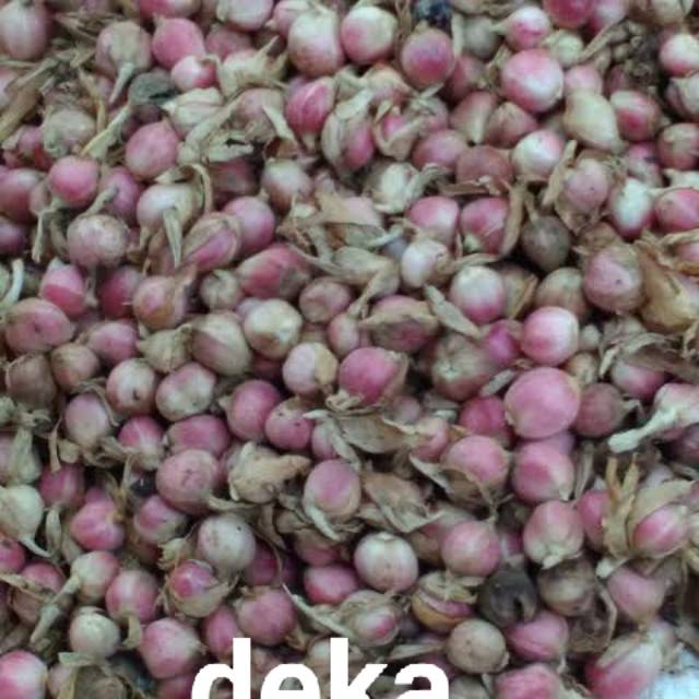 

Promo KAPOL KAPULAGA KAPOLAGA SEGAR 250 gram