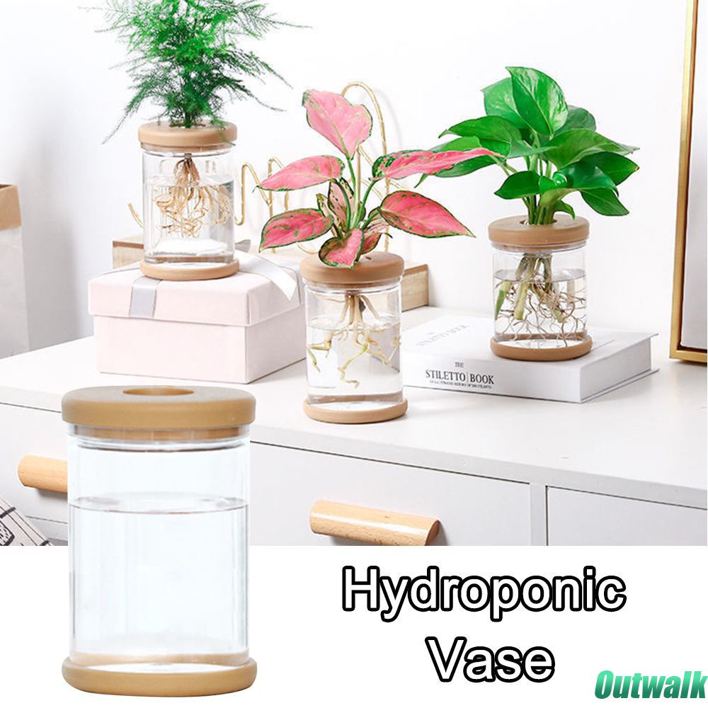 Vases Vas Bunga Hidroponik Pot Tanaman Tanpa Tanah Transparan Pot Dalam Ruangan Meja Tangki Ikan Mini Pot Bunga Meja Ornamen Botol Transparan