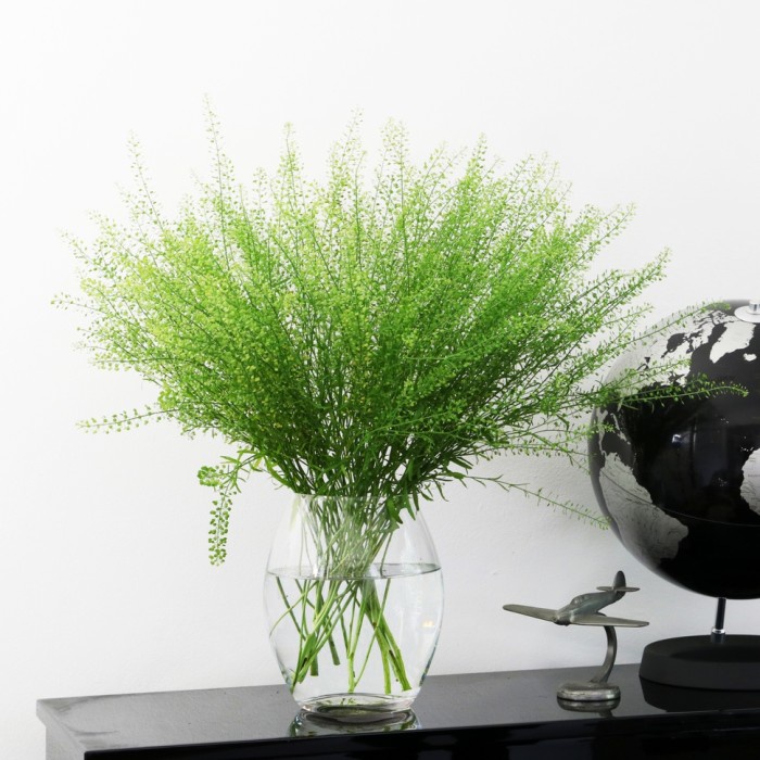 Big Sale Daun Thlaspi Pennycress Segar per batang