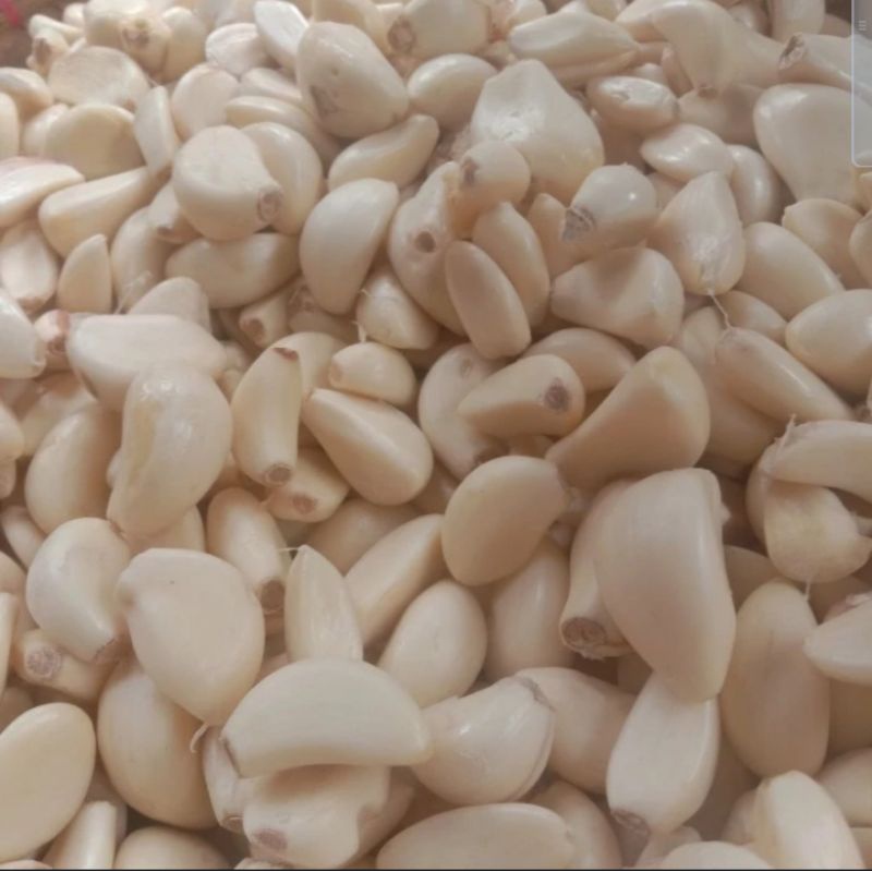 

Bawang Putih Kupas 250 gram