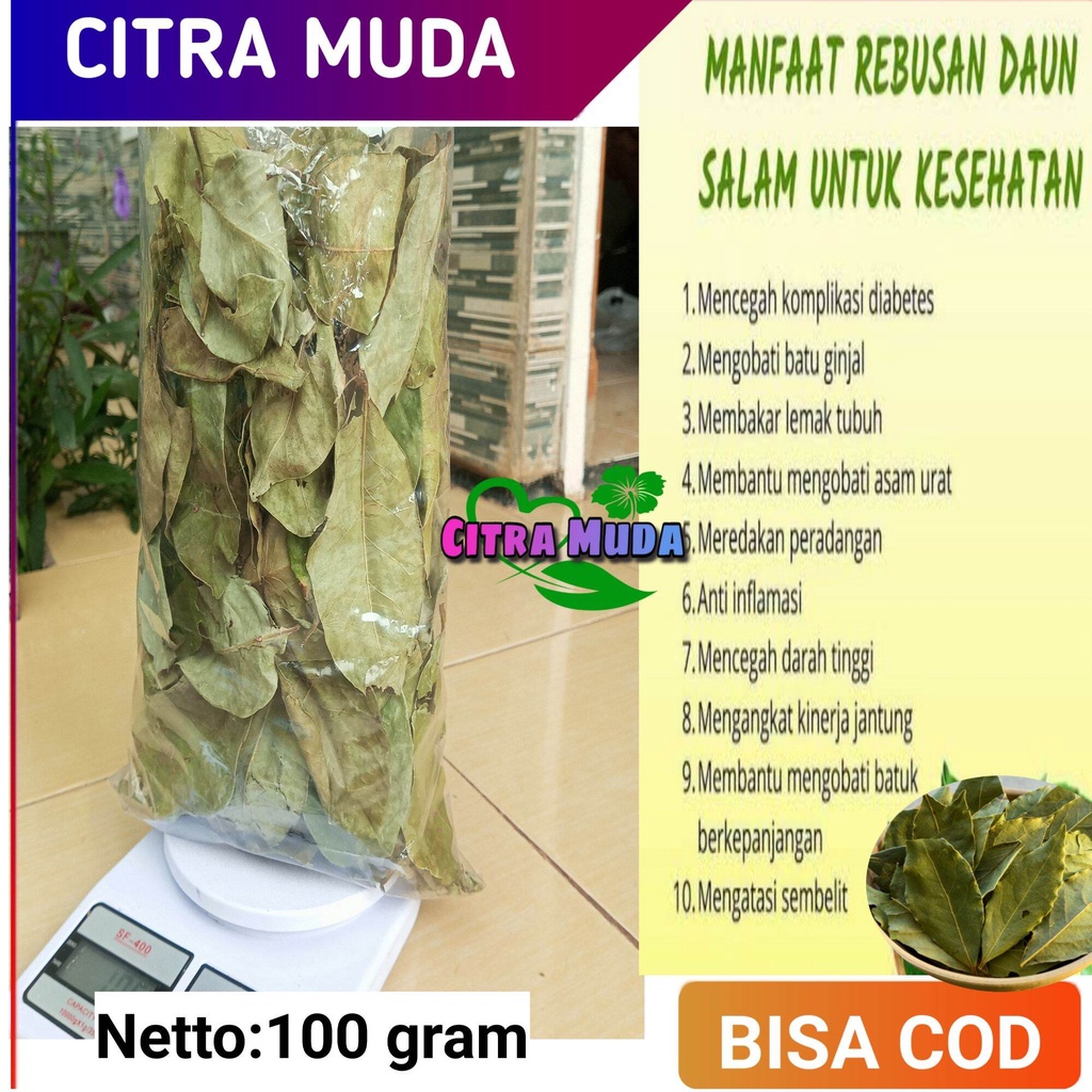 

Daun Salam Kering 100 Gram Alami