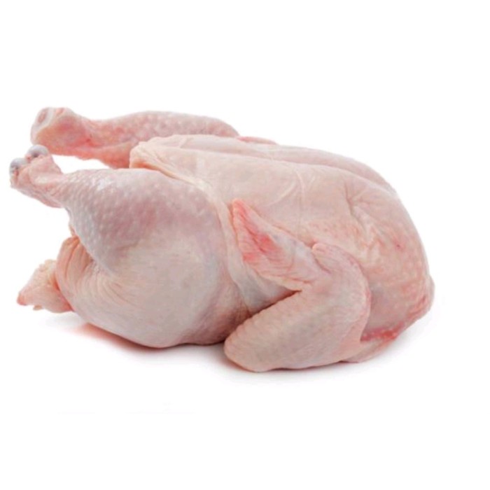 

ayam 1 ekor segar