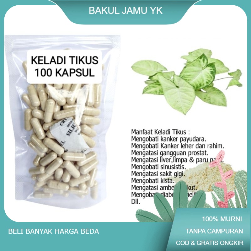 

Keladi tikus isi 100 kapsul untuk ambien kanker