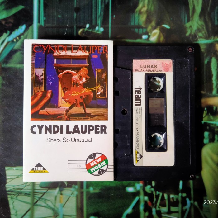 KASET CYNDI LAUPER SHES SO UNUSUAL TEAM RECORDS