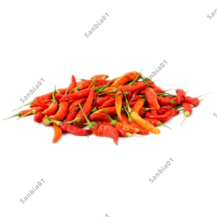 Sayur Segar Cabe Cabai Rawit Tiung Taji 1 Kg