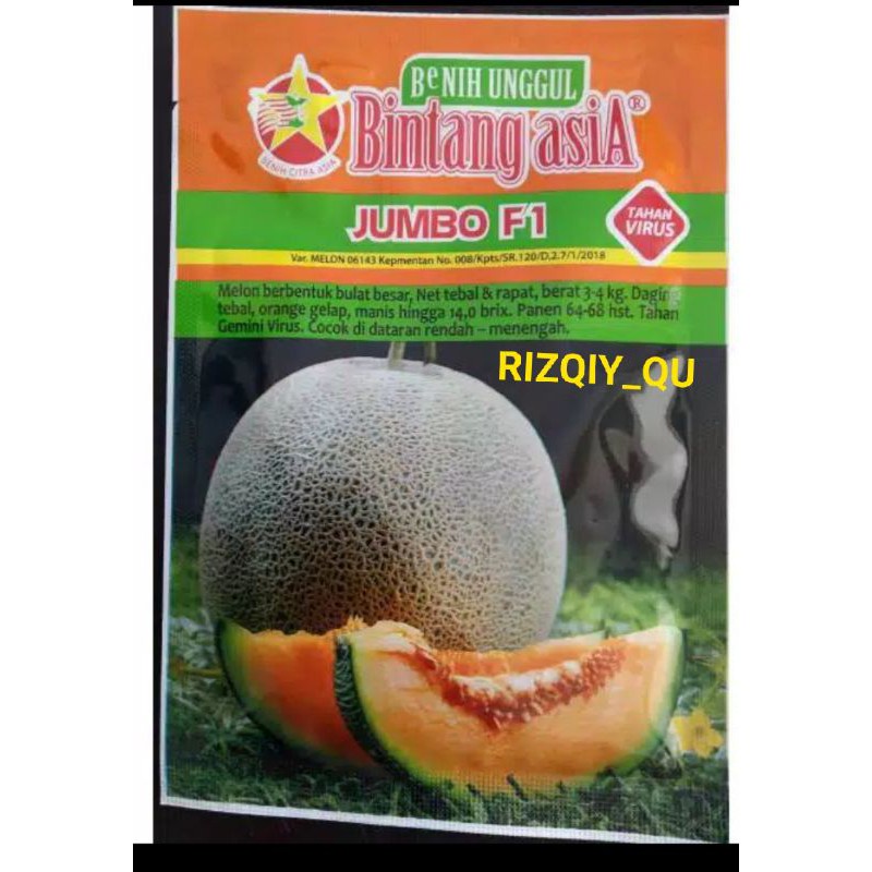 Jumbo F1 (Benih Melon)/20gram