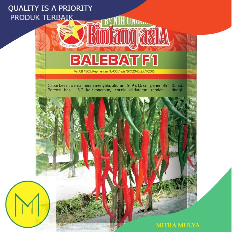Bibit Benih Cabai Cabe Besar BALEBAT F1 10 Gram Merk Bintang Asia PT Benih Citra Asia Warna Merah Me