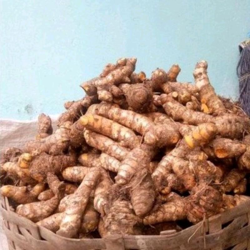 

Temulawak Herbal Segar 500gr