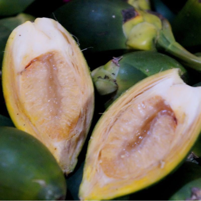 

Pinang Muda / Jambe Muda 500gr