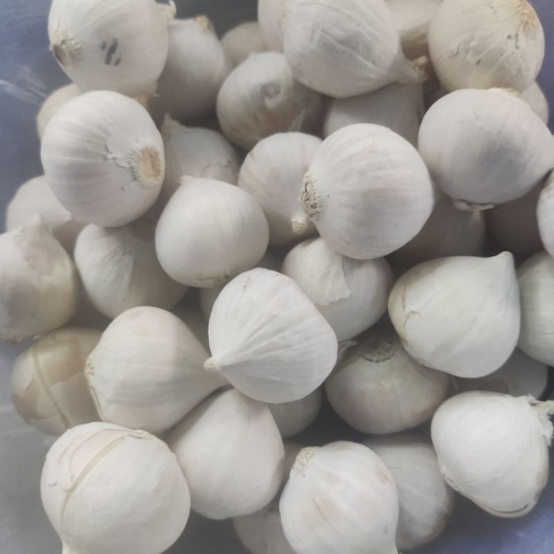 

Bawang Putih Tunggal Lanang 100Gram Super TANPA PEMUTIH Grade A