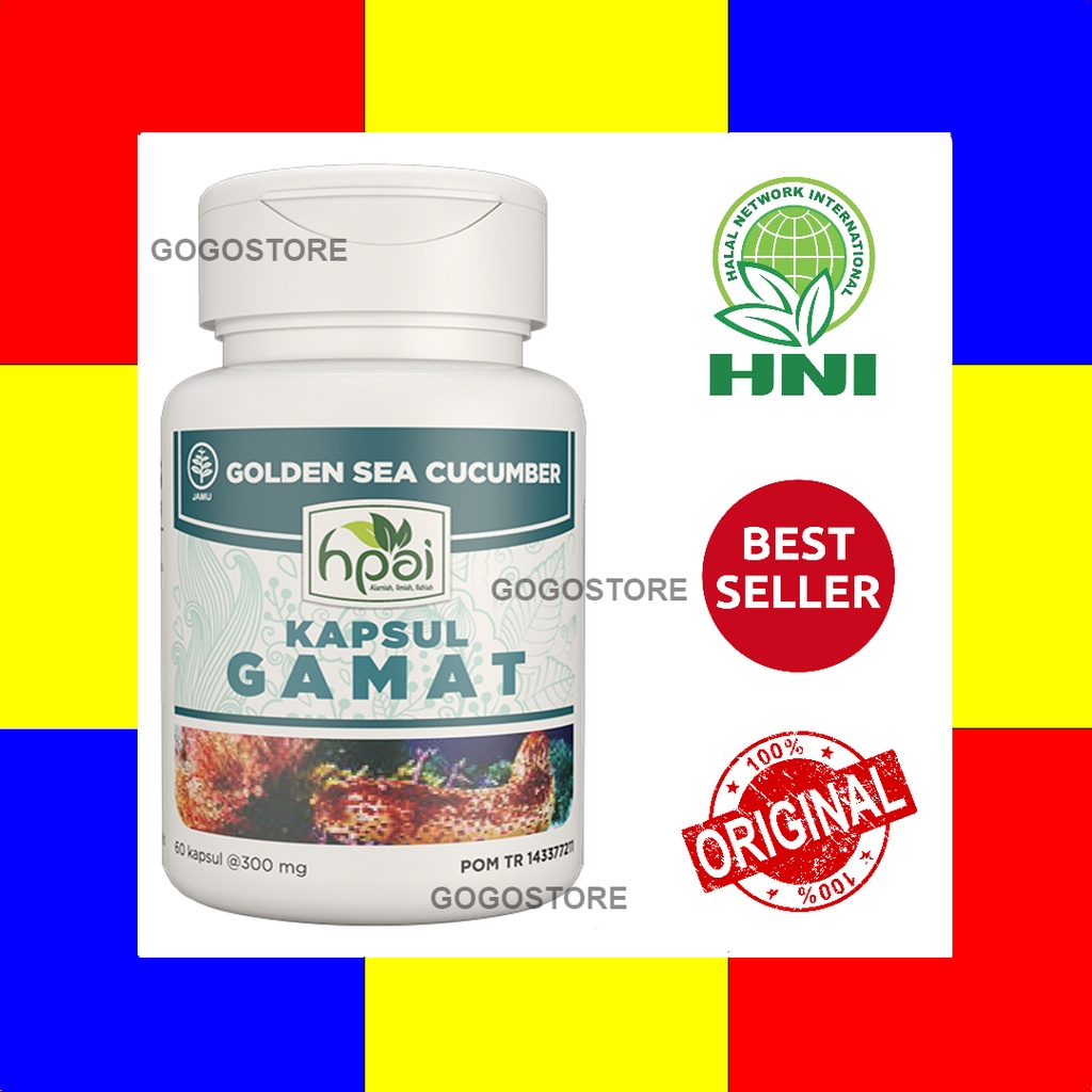 GAMAT Kapsul , Ekstrak dari Teripang Emas - HNI HPAI ORIGINAL - GOGOSTORE