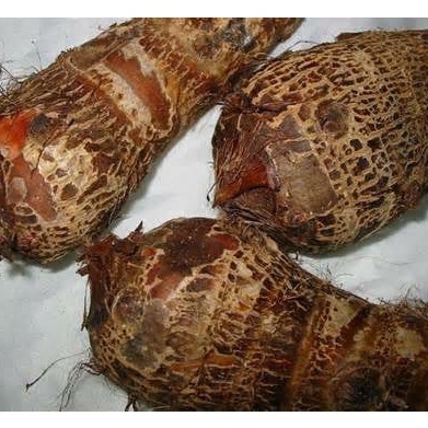 

Promo COD Umbi talas ungu /talas kimpul pilihan berkualitas 1kg