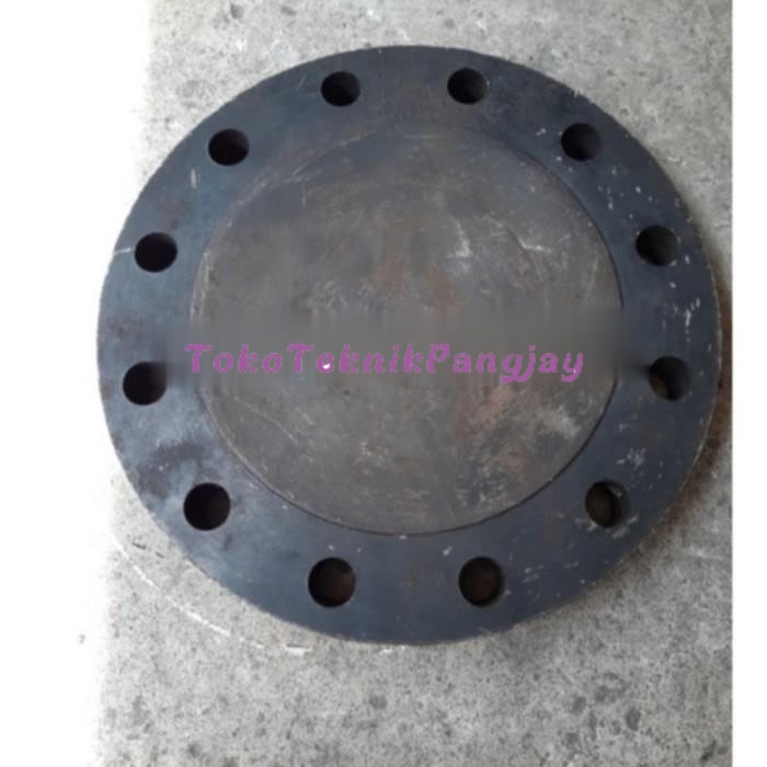 

Blind Flange / BUTA A105 Ansi 600 / ASA 600 12 inch