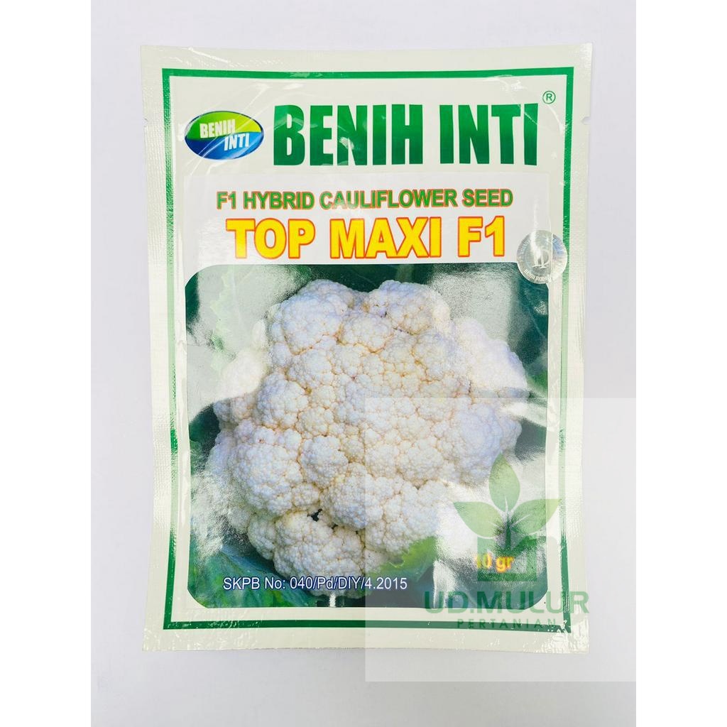 Benih cauliflower F1 TOP MAXI isi 10gr dari PT DINASTY INTI AGRO SARANA
