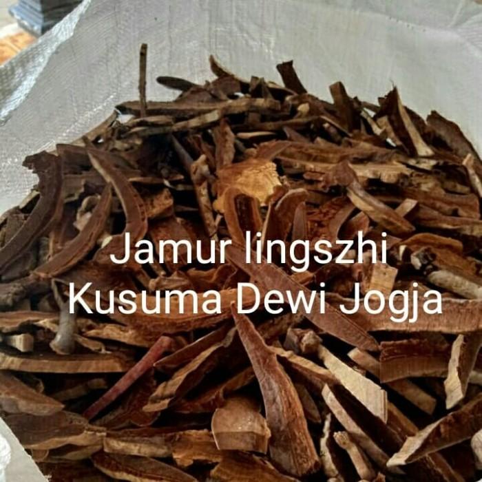 

Jamur Lingzhi Kering / Jamur Lingzhi Hutan 50 gram