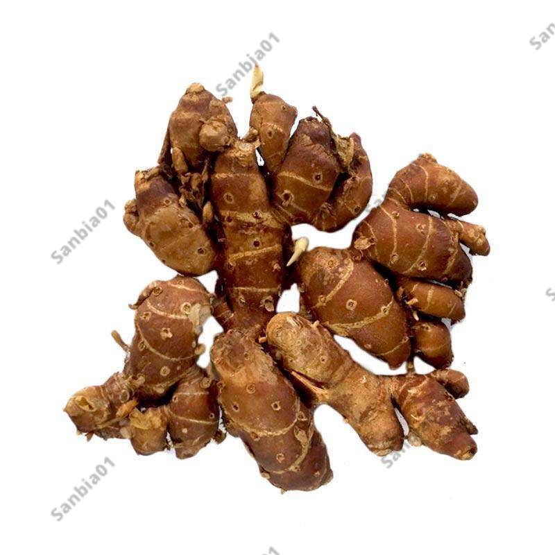 

Rempah Rempah Kencur 500 Gram